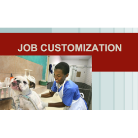 Job Customization Course