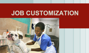 customizing jobs