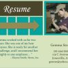 visual resume sample