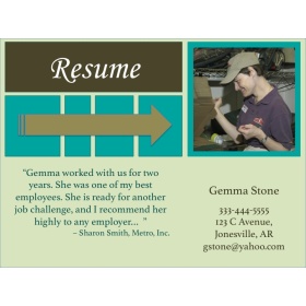 visual resume sample