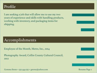 visual resume sample