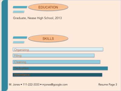 visual resume sample