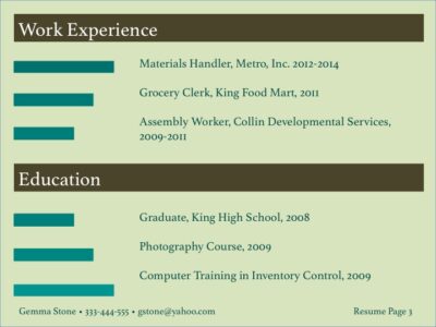 visual resume sample