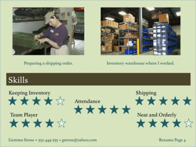 visual resume sample