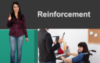 Reinforcement Course