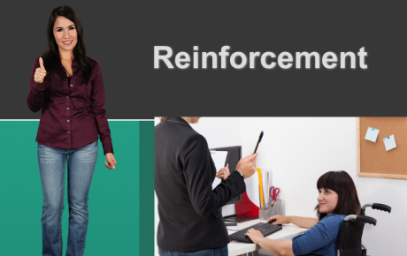 Reinforcement Course