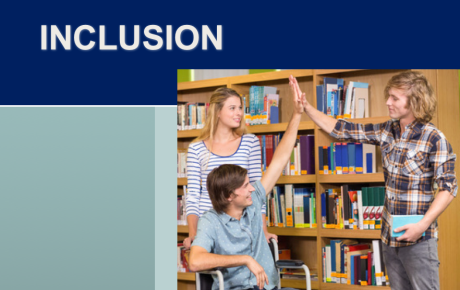inclusion course
