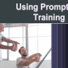 Using Prompts in Training Course