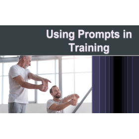 Using Prompts in Training Course