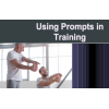Using Prompts in Training Course