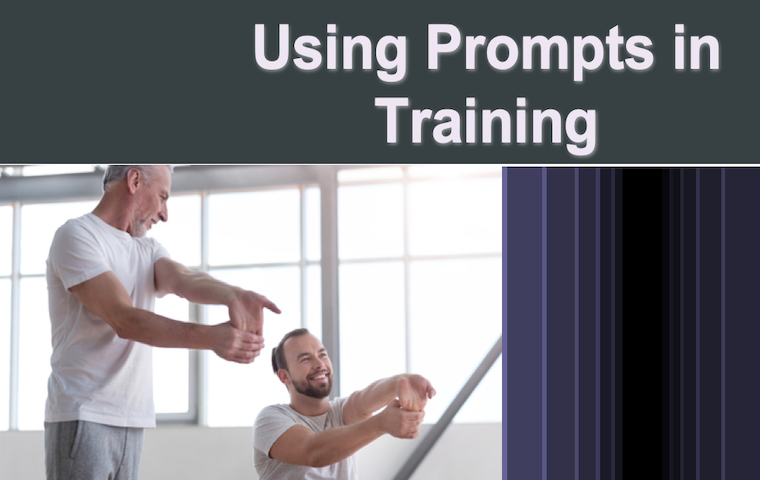 Using Prompts in Training Course