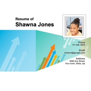 Visual Resume Business 1